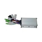 BEYİN (ZF6-S)
