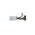 BEYİN (ZF6)