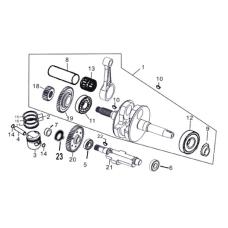 PİSTON SEKMAN TAKIM (RT250)
